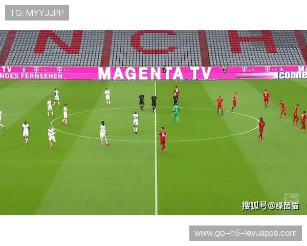 球迷行为研究：噪音与助威对比赛结果的影响