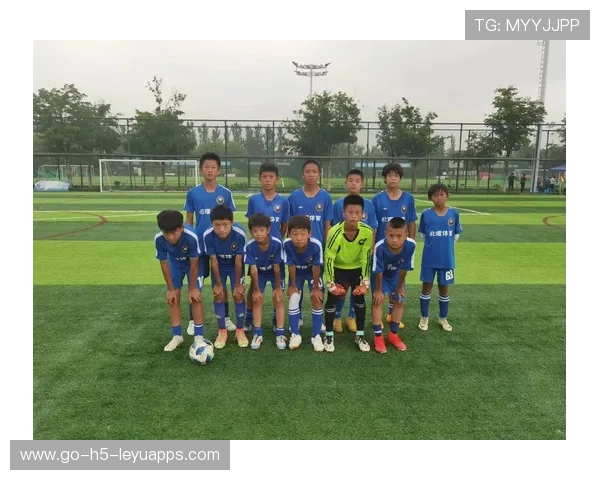 中国足球青少年足球节活动组织，全国青少年校园足球活动实施方案